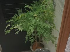-江南驿·二十余年创意杭帮味(良渚玉鸟集店)