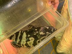 -ONE FULL 古董港式海鲜火锅