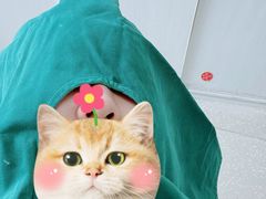 -兔博士口腔(高新一路门诊部)