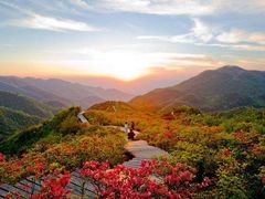 -大围山国家森林公园
