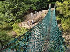 -大奇山国家森林公园