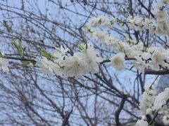-北京大学赛克勒考古与艺术博物馆