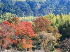 -塔川景区