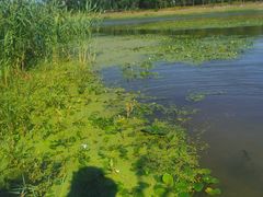 -春花秋色城市公园
