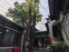 -迎泽公园
