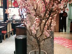 -黑牛の場(兴隆大奥莱店)