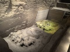 -秦始皇帝陵博物院-丽山园
