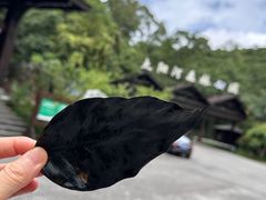 -普洱太阳河森林公园