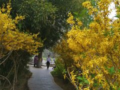 -莲花池公园