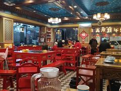 -金鼎雪山牦牛杂火锅(理县总店)