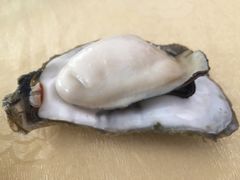 -强记烧鸡(信业悦都汇店)
