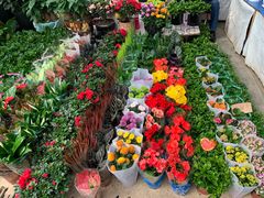 -秦美花卉(天朗·莱茵小城2期店)