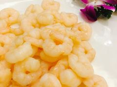 -绿波廊七号(豫园新路店)