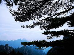 -黄山风景区