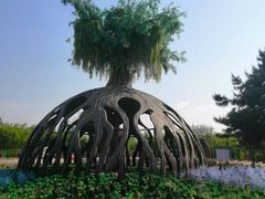 -莫子山公园