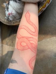 -将·刺青·纹身