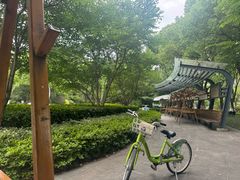 -昆山城市生态森林公园