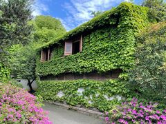 -惠山古镇·寄畅园