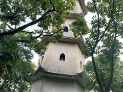 -江心屿景区