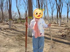 -永定河休闲森林公园