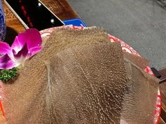 -楠火锅(仁恒梦中心店)