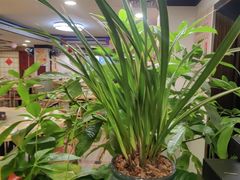 -佛有缘素食馆·荔湾老字号(陈家祠首店)