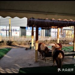 -萌宠亲子动物乐园(槐房万达店)