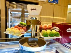 -哈根达斯(深圳海岸城店)
