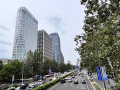 -团结湖公园