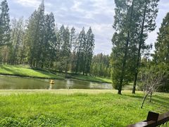 -黄海国家森林公园