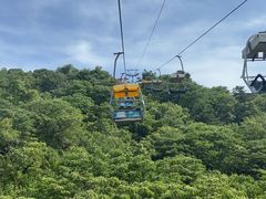 -富斯特索道