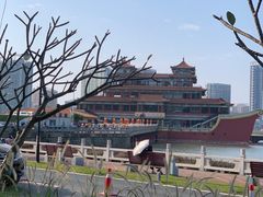 -野狸岛