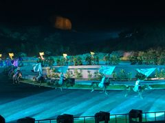 -鼎盛王朝康熙大典实景演出