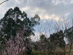 -黄龙溪欢乐田园