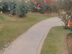 -人民公园(罗湖区)