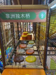 -卡通尼·Safari非洲探索乐园·生日会(金桥国际商业广场店)