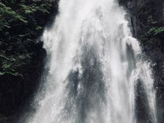 -姑婆山旅游区
