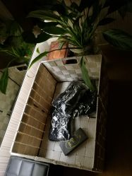 -香港雪纤瘦美容中心