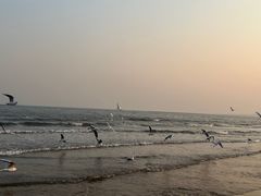 -金梦海湾浴场