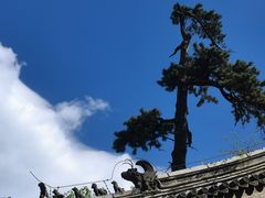 -潭柘寺景区
