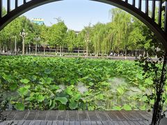 -四川大学(望江校区)
