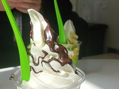 -Salud撒露欧洲冻酸奶(798艺术区店)