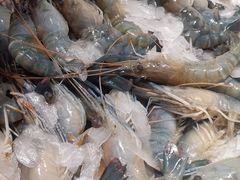 -加餐海鲜自助(宝龙一城店)