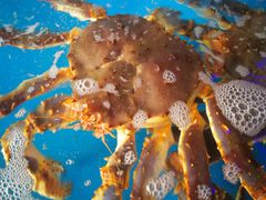 -清水湾3号(东方小周海鲜店)