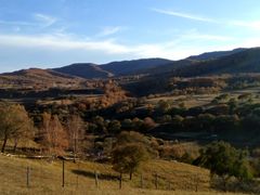 -塞罕坝国家级自然保护区