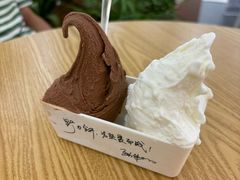 -野人先生Gelato(上海长宁龙之梦店)