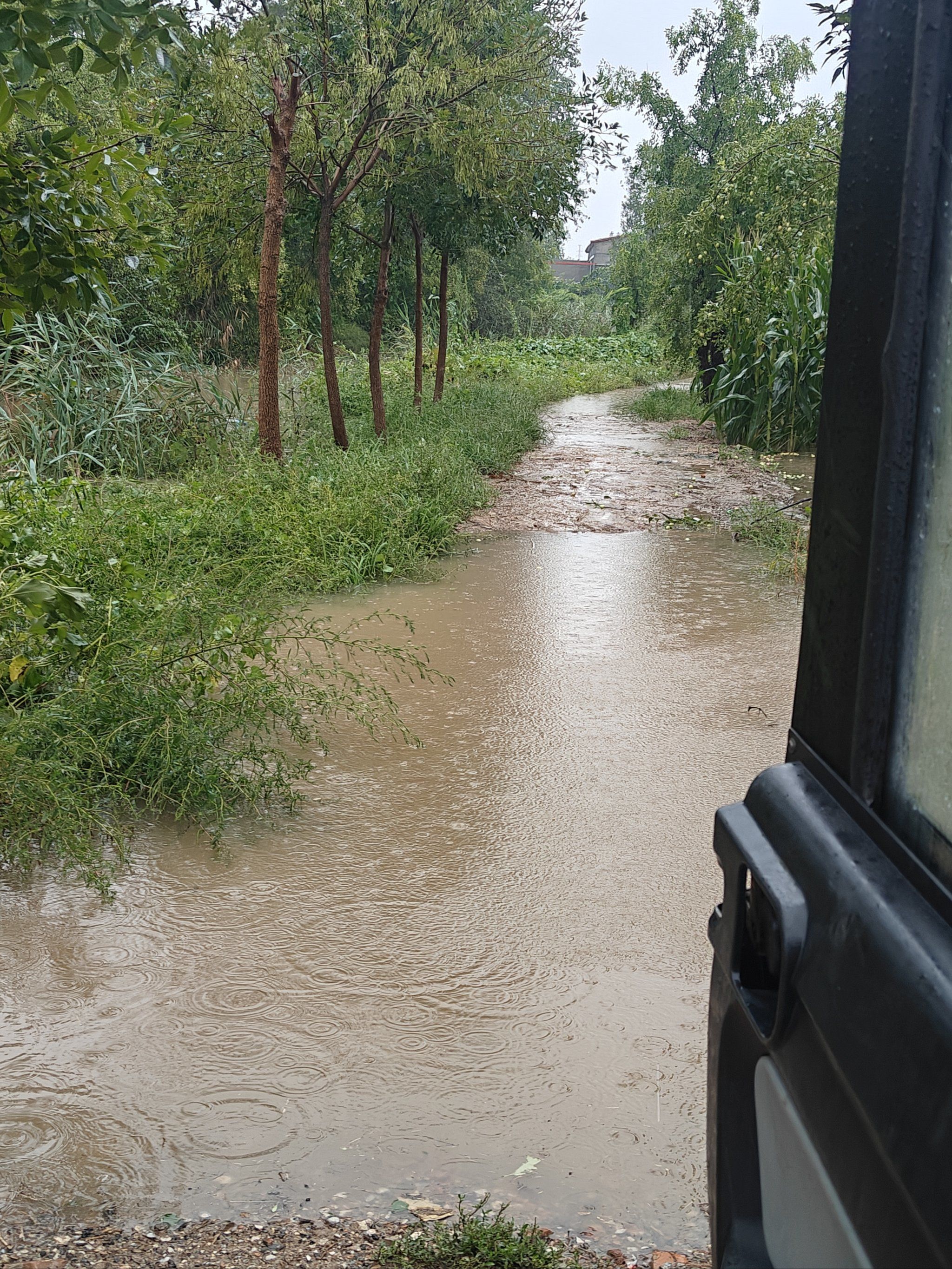 天呐,大暴雨把路都淹了!
