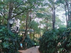 -白沙门生态公园