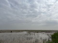 -南汇新城海滩