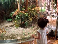 -陕西自然博物馆